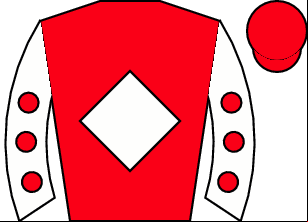 Horse silk