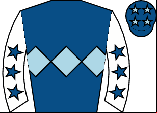 Horse silk