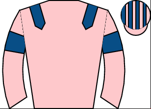 Horse silk