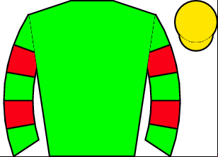 Horse silk