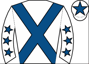 Horse silk