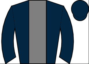 Horse silk
