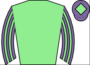 Horse silk