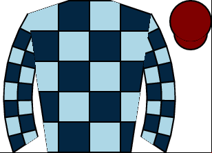 Horse silk