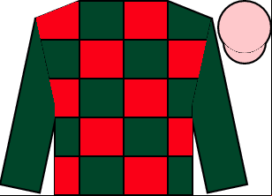 Horse silk