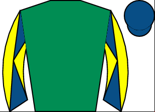 Horse silk