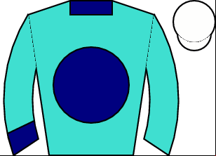 Horse silk