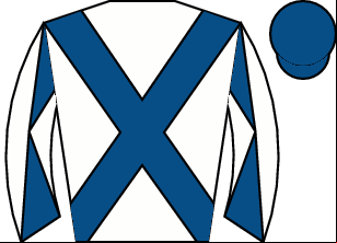 Horse silk