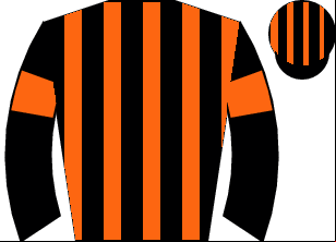 Horse silk