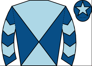 Horse silk