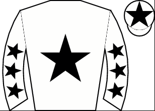 Horse silk