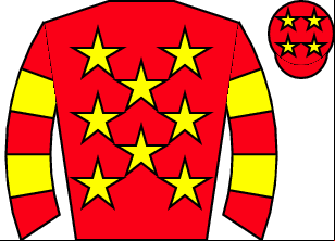 Horse silk