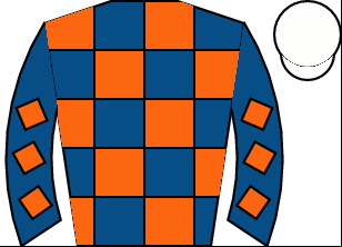 Horse silk