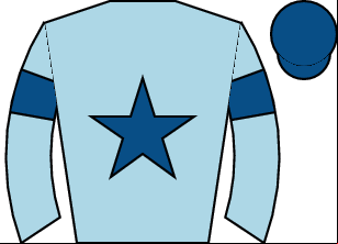 Horse silk