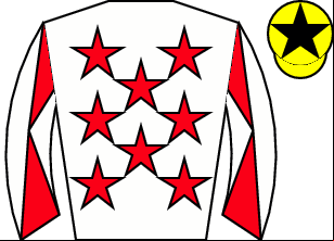 Horse silk