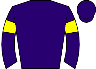 Horse silk