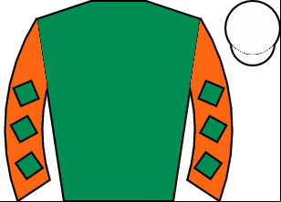 Horse silk