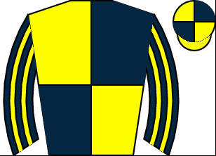 Horse silk
