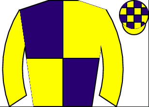Horse silk