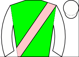 Horse silk
