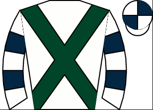 Horse silk