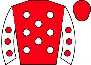 Horse silk