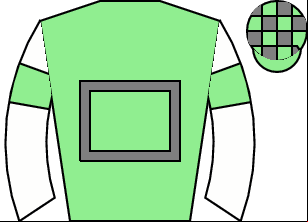 Horse silk