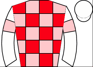Horse silk
