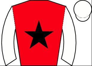 Horse silk
