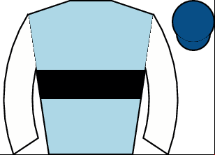 Horse silk