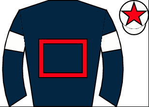 Horse silk