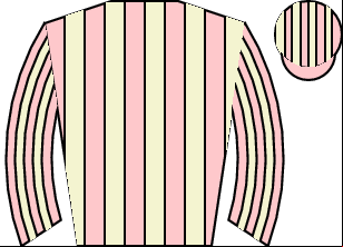 Horse silk