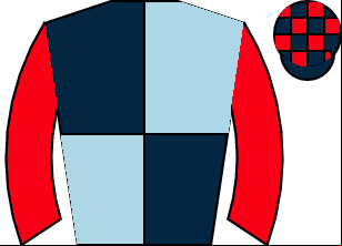 Horse silk