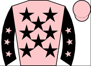 Horse silk