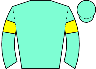Horse silk