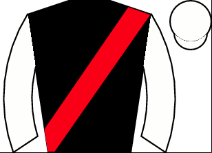 Horse silk