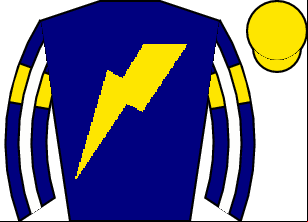 Horse silk