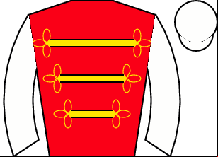 Horse silk
