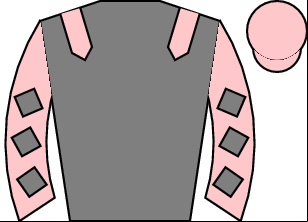 Horse silk