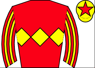 Horse silk