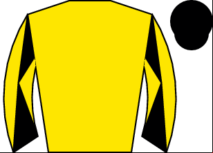 Horse silk