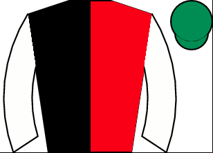 Horse silk