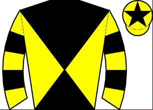 Horse silk
