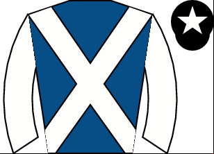 Horse silk