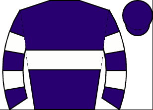 Horse silk