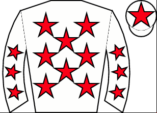 Horse silk