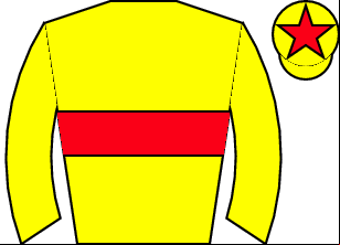 Horse silk