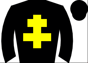 Horse silk