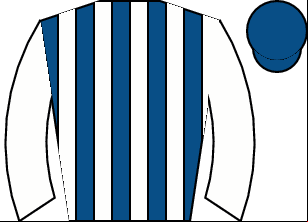 Horse silk