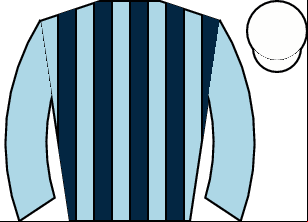 Horse silk
